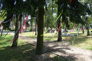 DSC00575